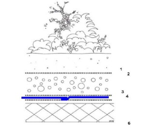 Waterpoofing For Green Roof Using PVC Membrane